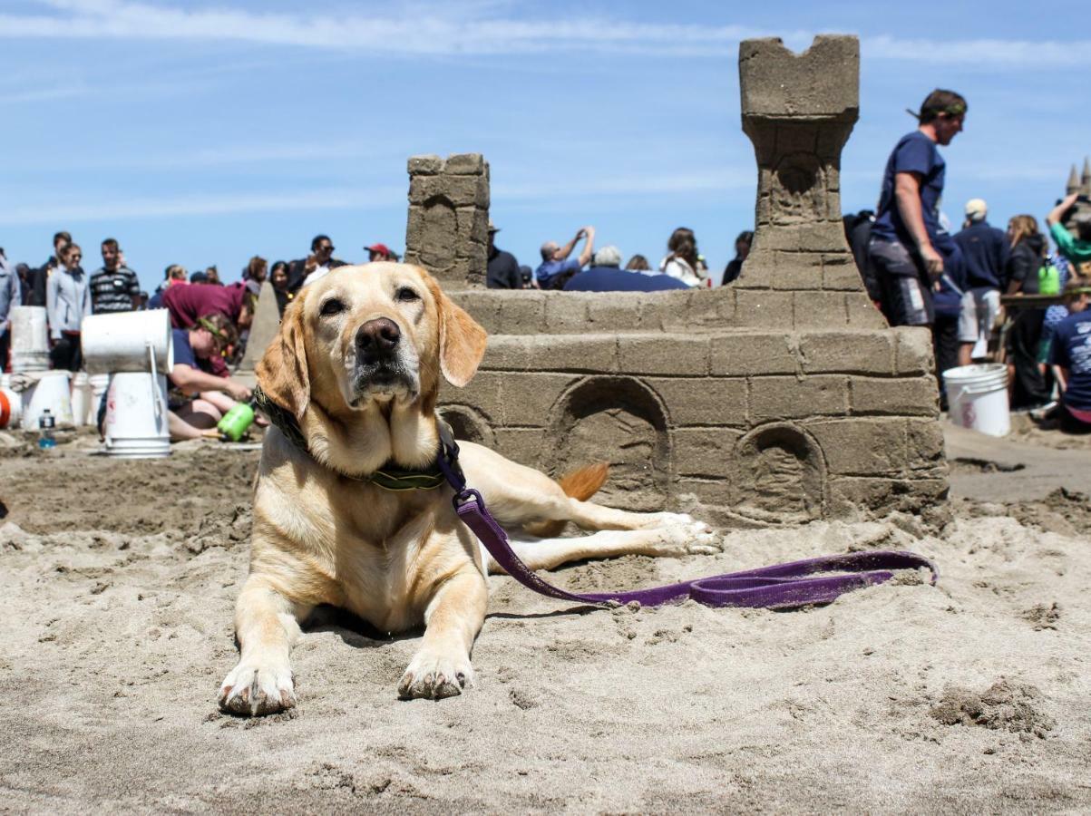 Beaches Inn | Herons Nest Loft Cannon Beach Exteriör bild